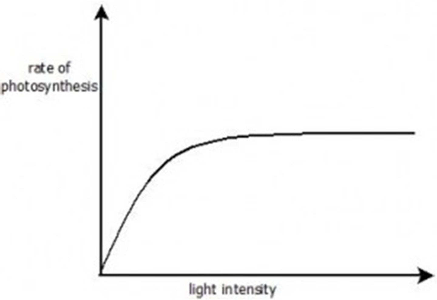 <p>a further increase in light intensity makes no difference because another factor is in short supply, limiting the rate</p>
