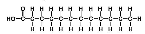 <p>This fatty acid has only only single bonds in the chain → pack closely together → butter is solid at room temperature</p>