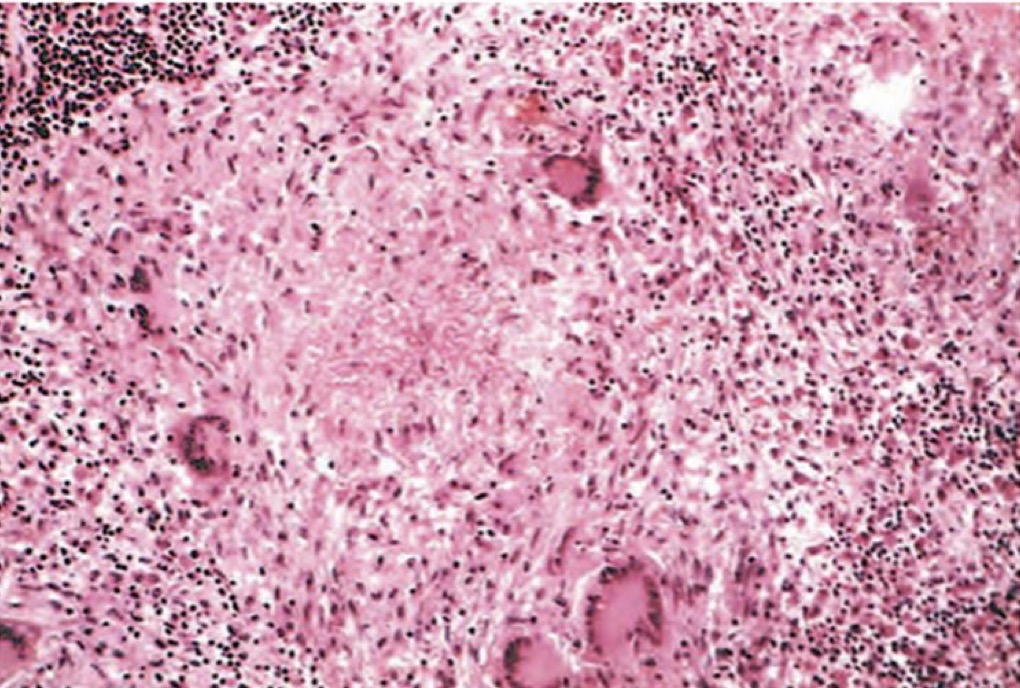 <p>A- identify</p><p>B- describe</p>