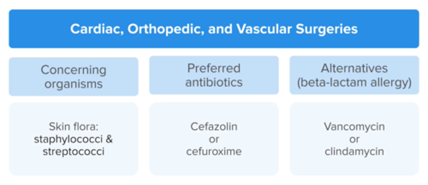 <p>staph, strep</p><p>Cefazolin or cefuroxime (3rd gen cephs) -> great coverage</p><p>if Beta lactam allergy: vanc or clindamycin</p><p>add vancomycin if MRSA is colonized</p>
