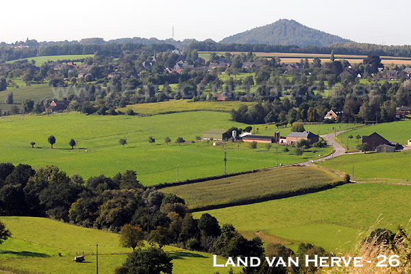 * Gras en weides
* Groen
* Boomgaarden