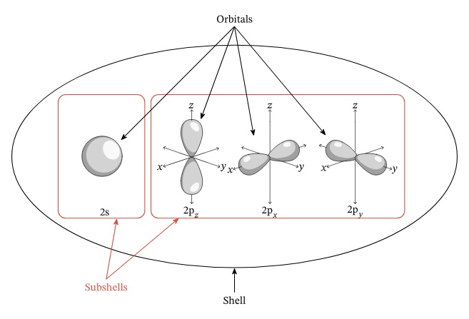 <ul><li><p><em>n</em> → shell</p><ul><li><p><em>l → subshell</em></p><ul><li><p>s subshell → 1 orbital (s orbital)</p></li><li><p>p subshell → 3 orbitals (p<sub>z</sub>, p<sub>x</sub>, p<sub>y</sub> orbital)</p></li><li><p>d subshell → 5 orbitals</p></li><li><p>f subshell → 7 orbitals </p></li></ul></li></ul></li></ul>