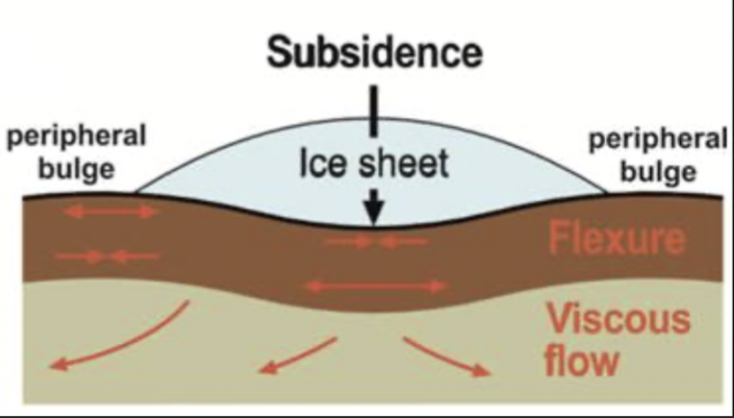 <ol><li><p>Crustal thinning</p></li><li><p>Mantle-lithosphere thickening</p></li><li><p>Sedimentary and volcanic loading</p></li><li><p>Tectonic loading</p></li></ol>