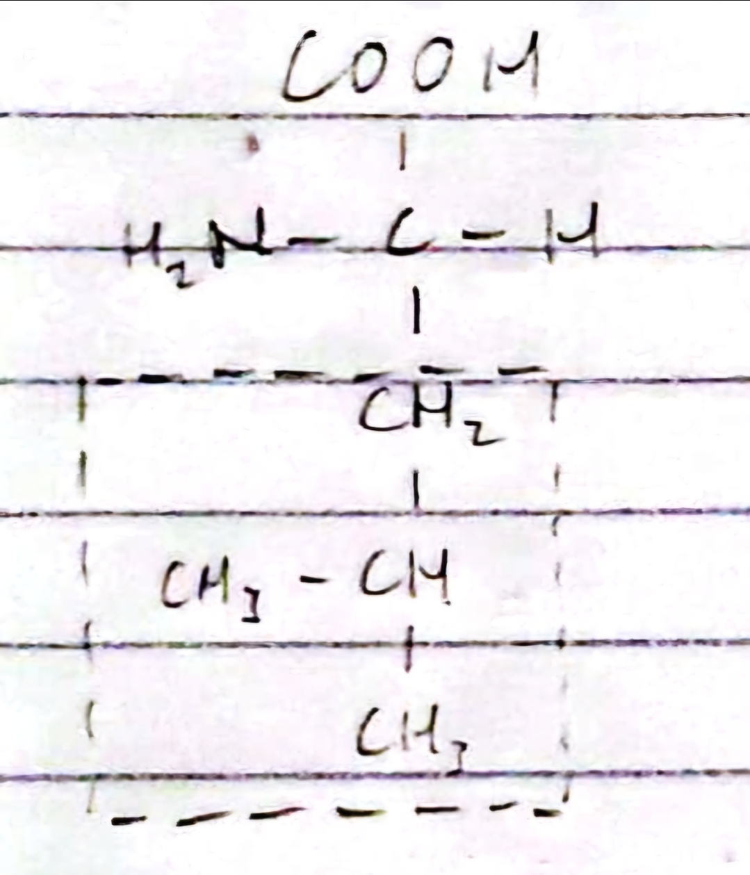knowt flashcard image
