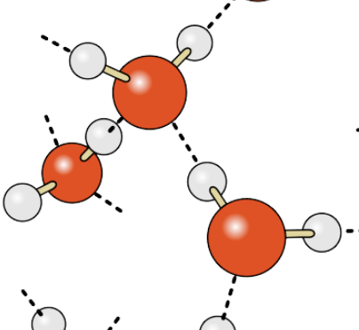 <p>Which description about water molecules is most accurate?</p>
