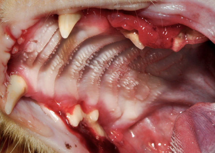 <p>What is this showing?</p>