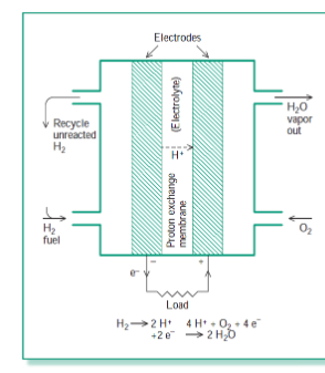 <ul><li><p>external, electrolyte</p></li><li><p>ions, electrons</p></li><li><p>recombine, water</p></li></ul><p></p>