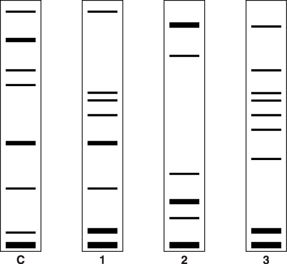<p>Samples of DNA were taken from frogs A, B, C and D.</p><p>Mitochondrial DNA from the frogs was sequenced.</p><p>State, giving a reason, which of the frogs A, B and C would have a mitochondrial DNA sequence identical to D. (1)</p>