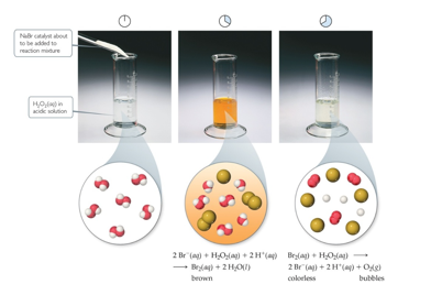 <p>The reactants and catalyst are in the same phase</p><p>Many times, reactants and catalyst are dissolved in the same solvent, as seen below</p>