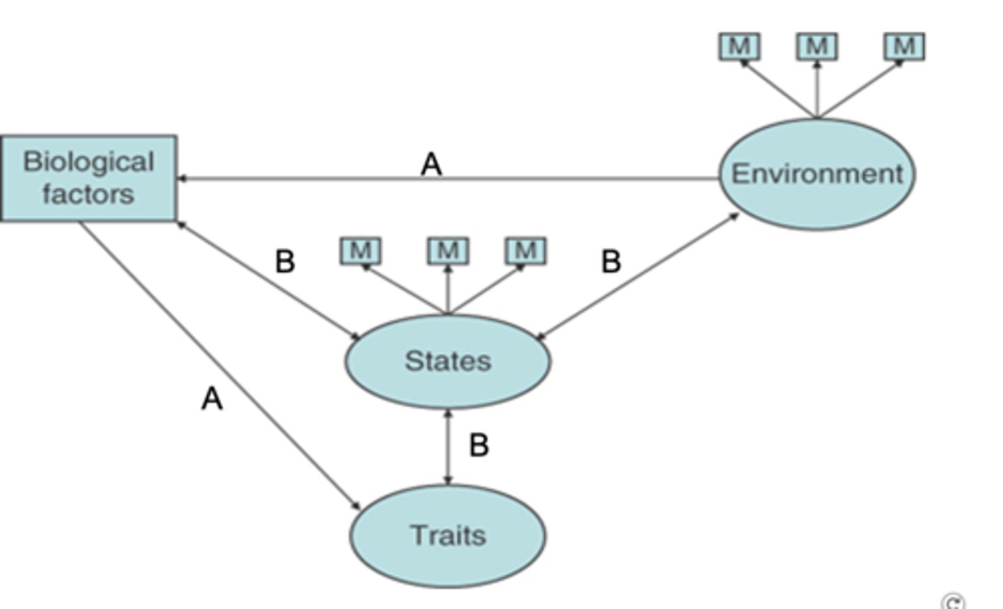 <p>implies both the expression of behaviours associated with trait and the mean level of the trait can vary as a function of (1) the influence of the environment via biological factors (route A) and (2) the dynamic interaction of environment, states (emotions, values, beliefs), biology and the trait. (route B)</p>