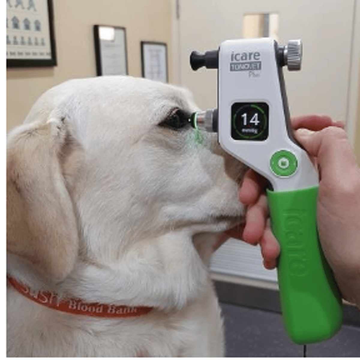 <p>what is this instrument?</p>