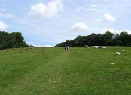 <p>Senlac hill</p>