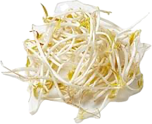 <p>Young shoots of bean plants, often used in salads and stir-fries. </p>