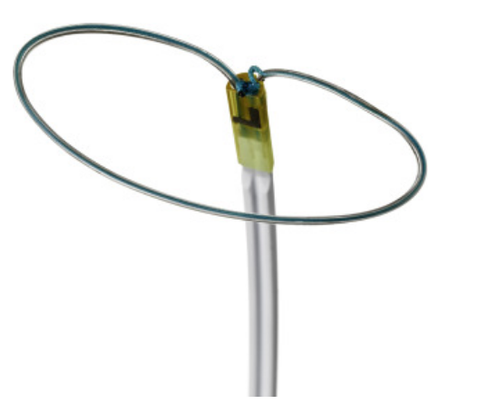 <p>Identify the structural heart device and access. </p>