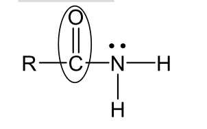 <p>C. Neutral Nitrogen atoms (cannot donate electrons to a proton):</p><p>We have four of those groups: </p><ol start="3"><li><p>Pyrrole-like nitrogen (the nitrogen lone pair is part of the</p><p>aromatic system, highly involve in resonance).</p></li></ol><p></p>