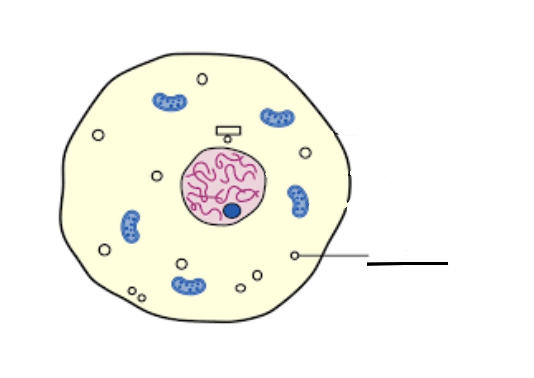 <p>What is this and its role</p>