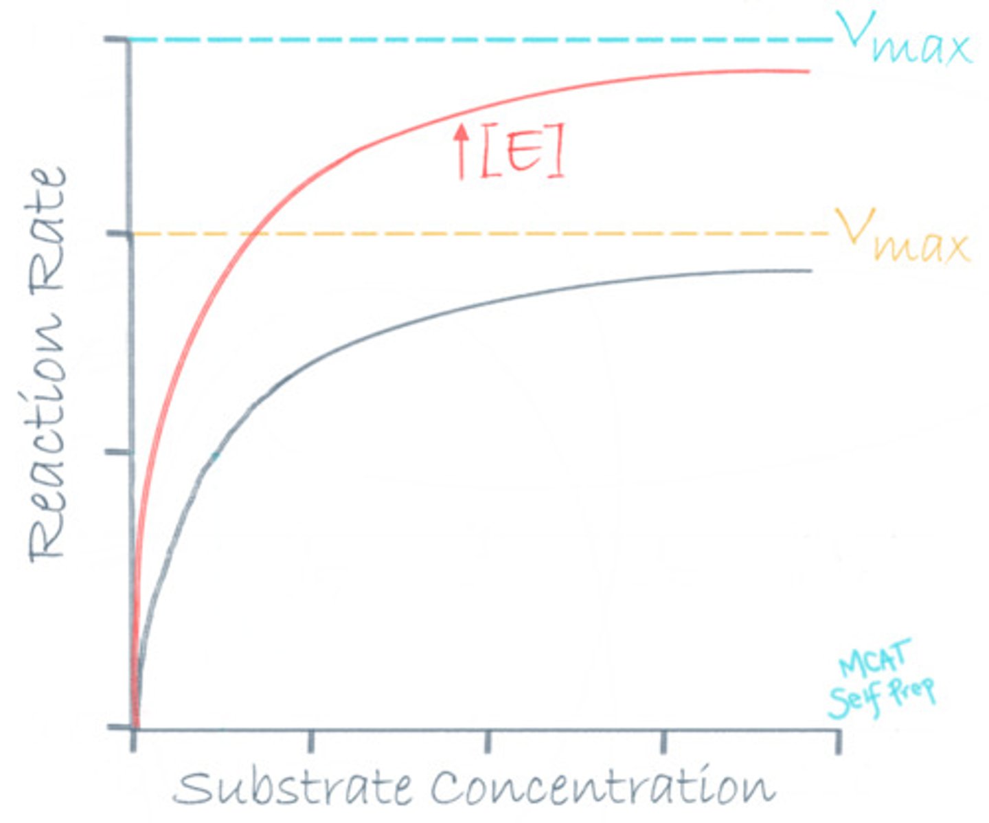 <p>(B) I and II Only</p><p>We can increase the rate of reaction by increasing the substrate or enzyme concentration.</p><p>Adding any type of inhibitor will not increase the rate of a reaction.</p>
