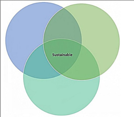 <p>What are the three parts of Sustainability and their components? </p>