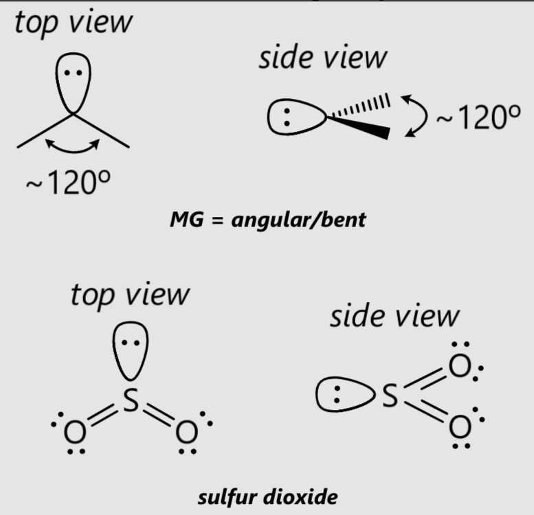 <p>MG = angular/bent</p><p>120°</p>