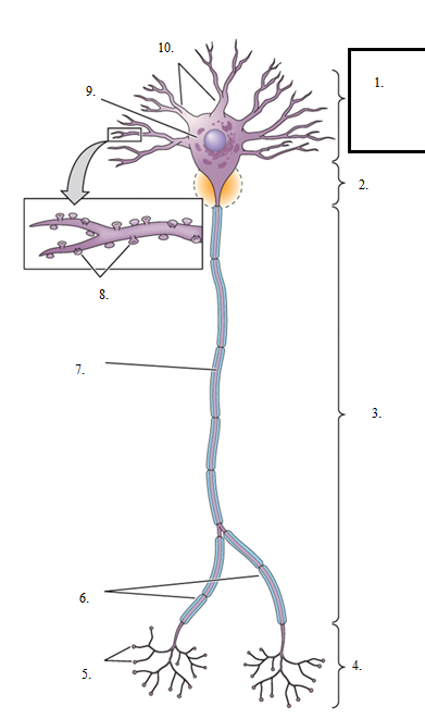 knowt flashcard image