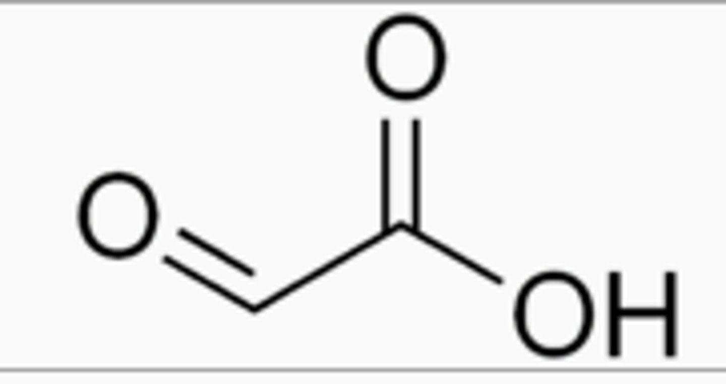 <p>A prefix occasionally used for carbonyl group (C=O) used for naming aldehydes (-al) and ketones (-one) when there is another functional group that takes priority (eg oic acids)</p>