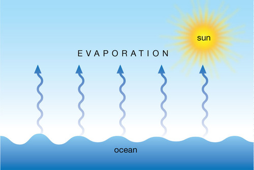 liquid changes into gas (can be below boiling point - eg a puddle on a cool day)