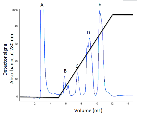 <p><span><span>A mixture of proteins was loaded onto a DEAE column at pH 8 and, after</span></span><br><span><span>washing, a steadily-increasing NaCl gradient was applied.&nbsp; The</span></span><br><span><span>absorbance of the eluate was monitored at 280 nm as shown in the</span></span><br><span><span>chromatogram below, the back line indicates the NaCl concentration.</span></span></p><p><br><span><span>Which fraction contains proteins with a pI greater than 8?</span></span></p><p></p><p><span><span>Which fraction contains proteins with the greatest overall negative charge at pH 8?</span></span></p><p></p><p><span><span>Which fraction contains proteins that are the most weakly bound?</span></span></p>