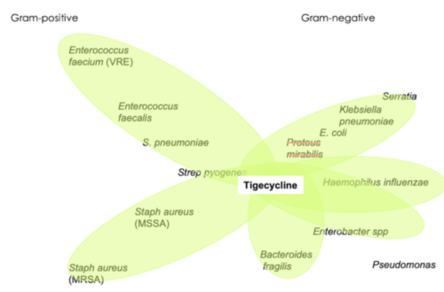 <p>- gram + (including MRSA, MSR Streptococci, VRE)</p><p>- gram - (including ESBL enterobacteriaceae)</p><p>- acinebacter </p><p>- many anaerobes like Bacteroides </p>