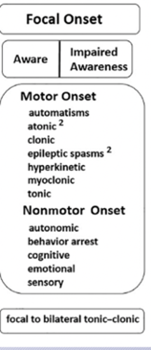 <p>•Auras are focal aware sensory seizures</p><p>•Paraesthesias, tingling, gustatory, olfactory, visual and auditory sensations</p><p>•Behavioral arrest, speech arrest, déjà vu, fear/feeling of doom</p><p>•Epigastric pain, sweating, tachycardia</p><p>•Can have automatisms and unilateral motor features</p>