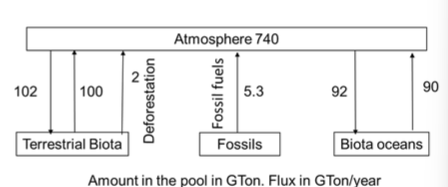 <p>Assume that the flow from other pools into/out the atmosphere are negligible. What is the percent change in net carbon flux into the atmosphere if we cut emissions from fossil fuels by 10%?</p>