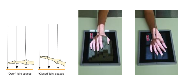 <p>What does this iamge show</p>