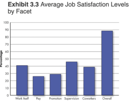 job conditions
-nature of the work itself
-social interactions
-supervisions

personality and individual differences
-self core evaluations
-culture

pay
**people do not prioritize high pay, but rather the people and the work itself
