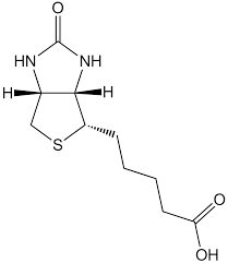 <p>Biotin</p>