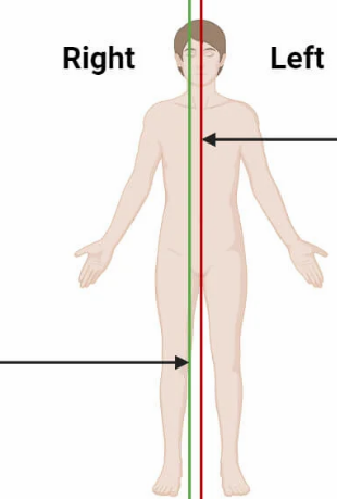 <p>A sagittal plane that is offset from the midline, dividing the body into unequal right and left parts.</p>