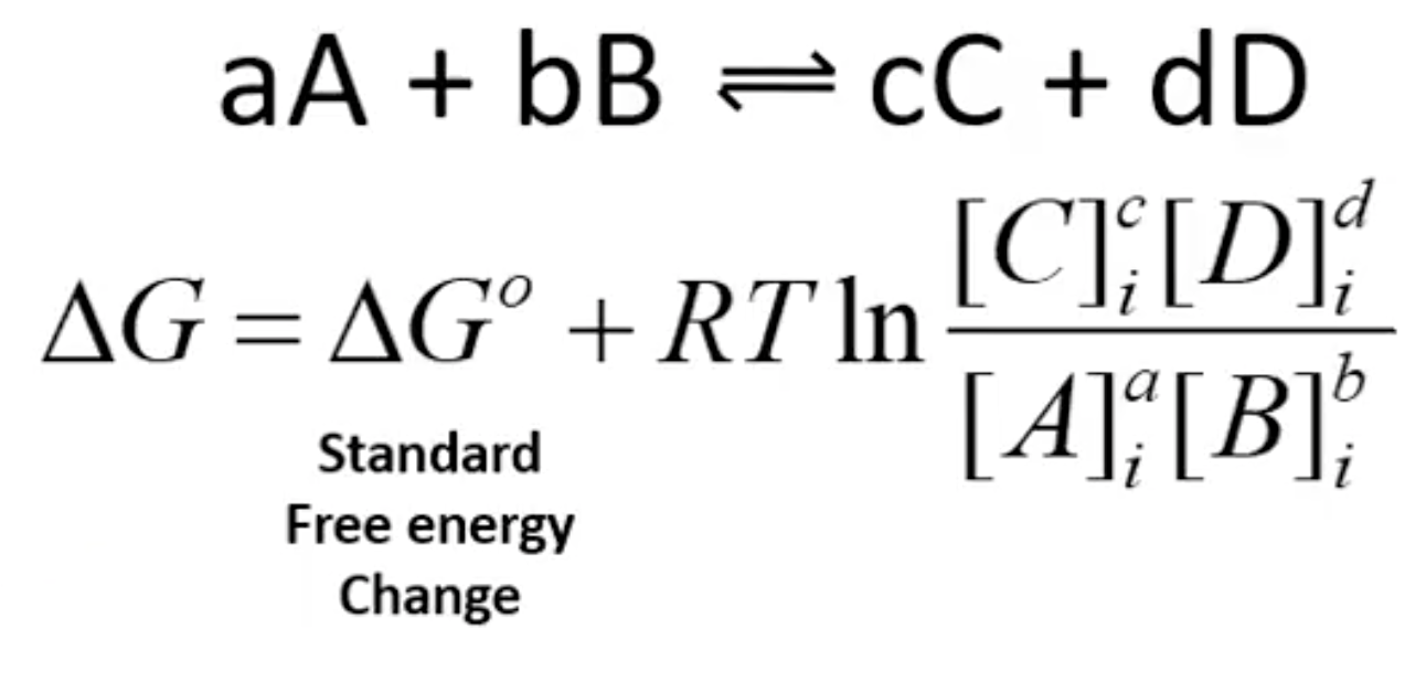 <p>i for initial conditions</p>