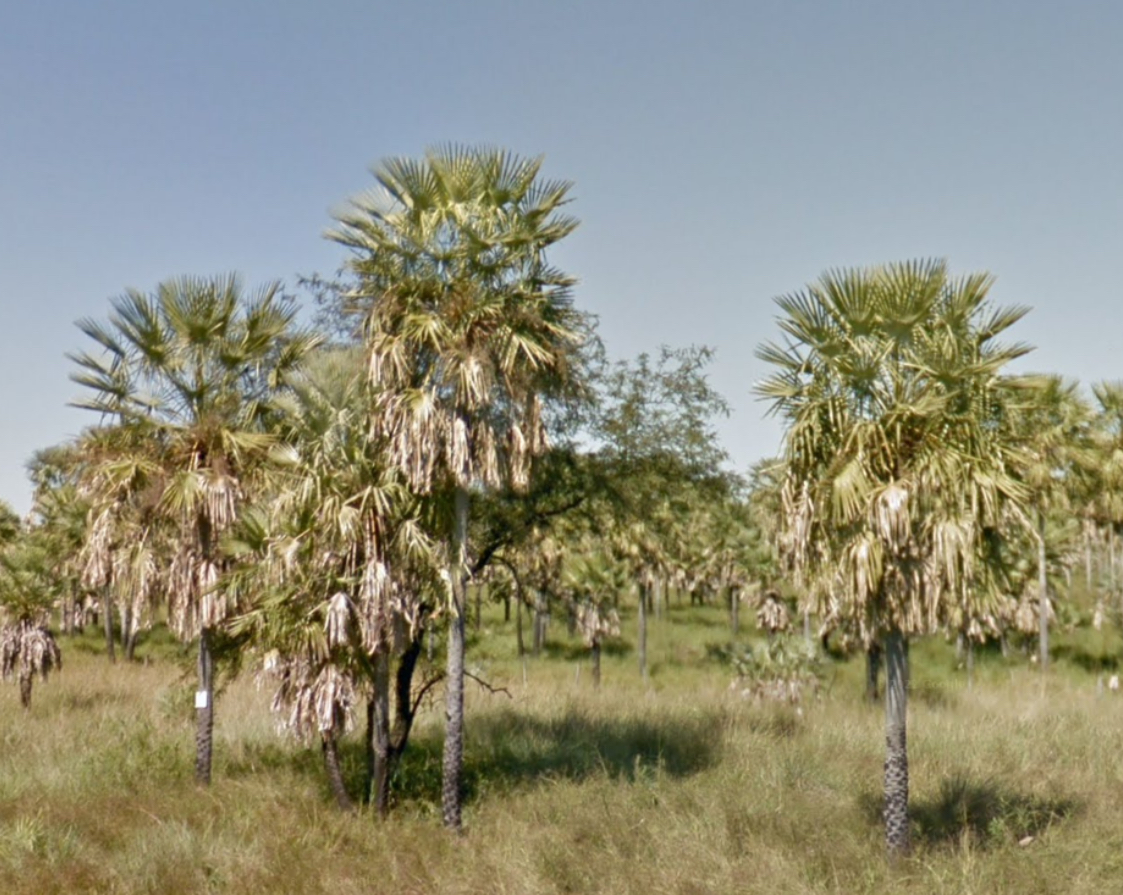 <p>Where is this?</p>