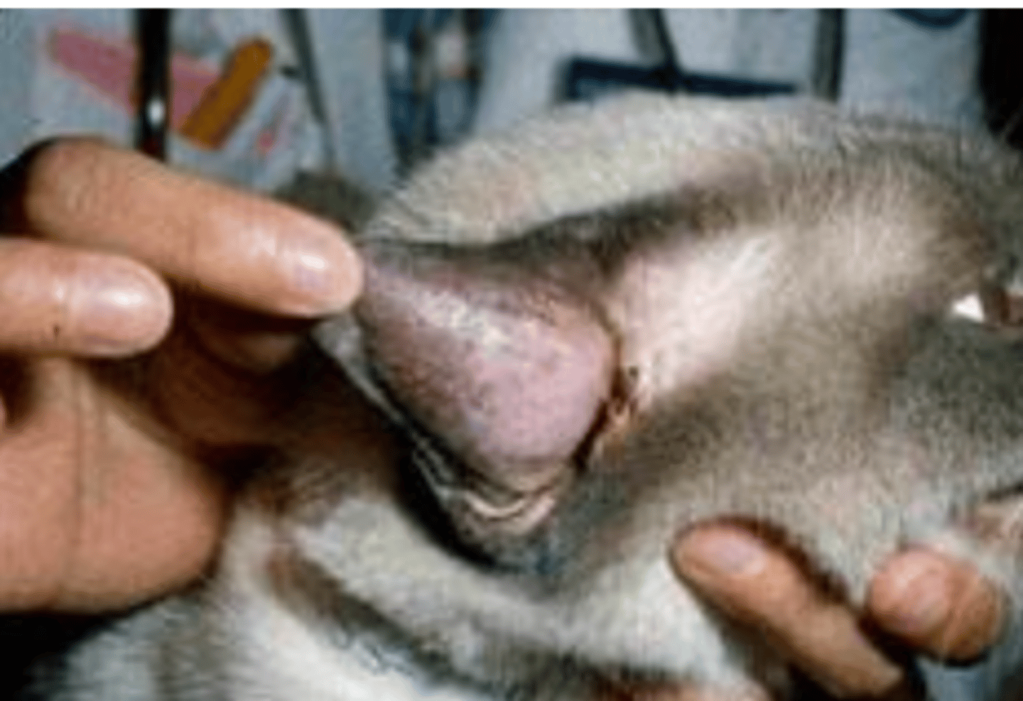 <p>what is this?</p>