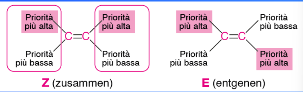 <p>Usando le regole di polarità:</p><ol><li><p>Più alto è il numero atomico dell’atomo legato al carbonio del doppio legame, più alta è la sua priorità </p></li><li><p>se due atomi connessi al carbonio del doppio legame hanno la stessa priorità, si prosegue lungo la catena dei gruppi sostituenti fino al punto in cui la priorità dei due gruppi differisce</p></li><li><p>Quando nei gruppi sostituenti sono presenti legami multipli, i legami doppi vengono scritti come due legami singoli e i legami tripli come tre legami singoli per ciascuno dei due atomi coinvolti</p></li><li><p>Poi si nomina la conformazione: Z = CIS e E = TRANS</p></li></ol><p></p>