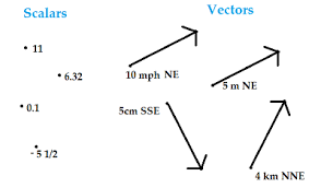 <p>Quantities that have no direction associated with them. </p><p>Example: Distance and Speed</p>