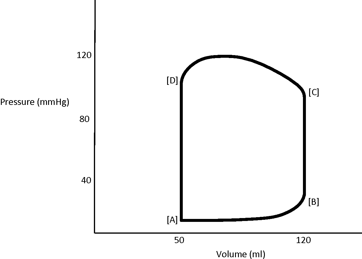 <p>The period of isovolumic (isovulumetric) contraction is indicated by ______ on the diagram. <br>A. the A-B interval<br>B. the B-C interval<br>C. the C-D interval<br>D. the A-D interval</p>