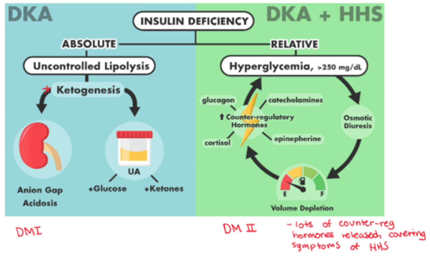<p>- rehydrate, recover K+, Insulin (same sequence as DKA)</p><p>- tx of underlying cause (eg. abx)</p>