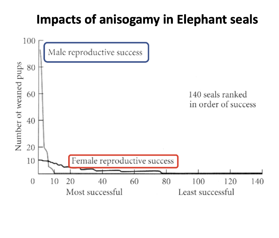 <p>what does this graph show </p>
