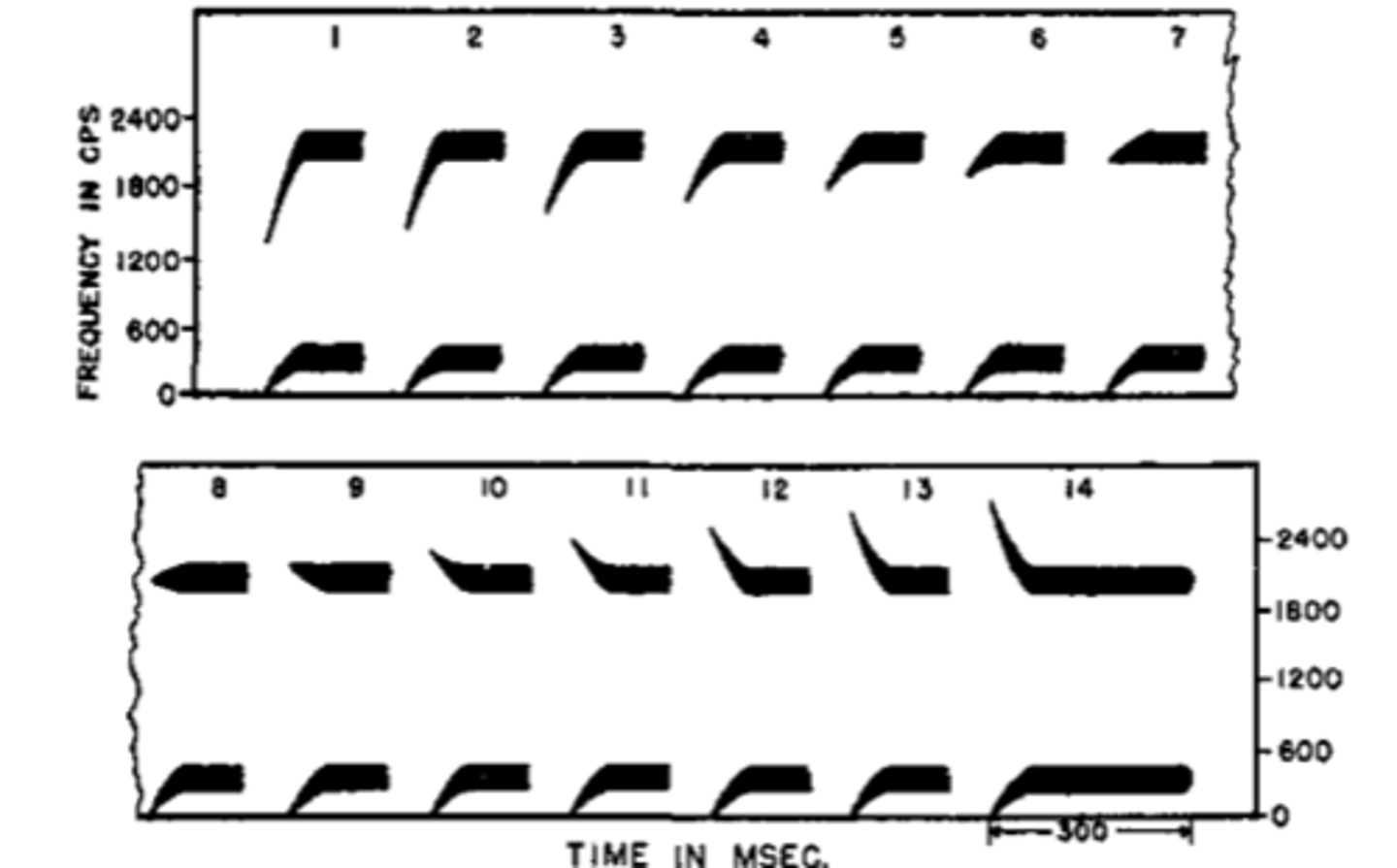 <p>The first format is the same for each, the second format differs in what is called the second format transition. For the stimulus labeled 1(upper left), the frequencies in the second format transition lessens as we move to the right across the graph, until for sounds 7 and then 8 the frequency of the second formant hardly changes at all over time. For sounds 11 -14, the second formant decreases over time. This is from Liberman</p>