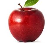 <p>Is this an apple?</p>