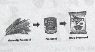 <p>ultraproccessed</p>