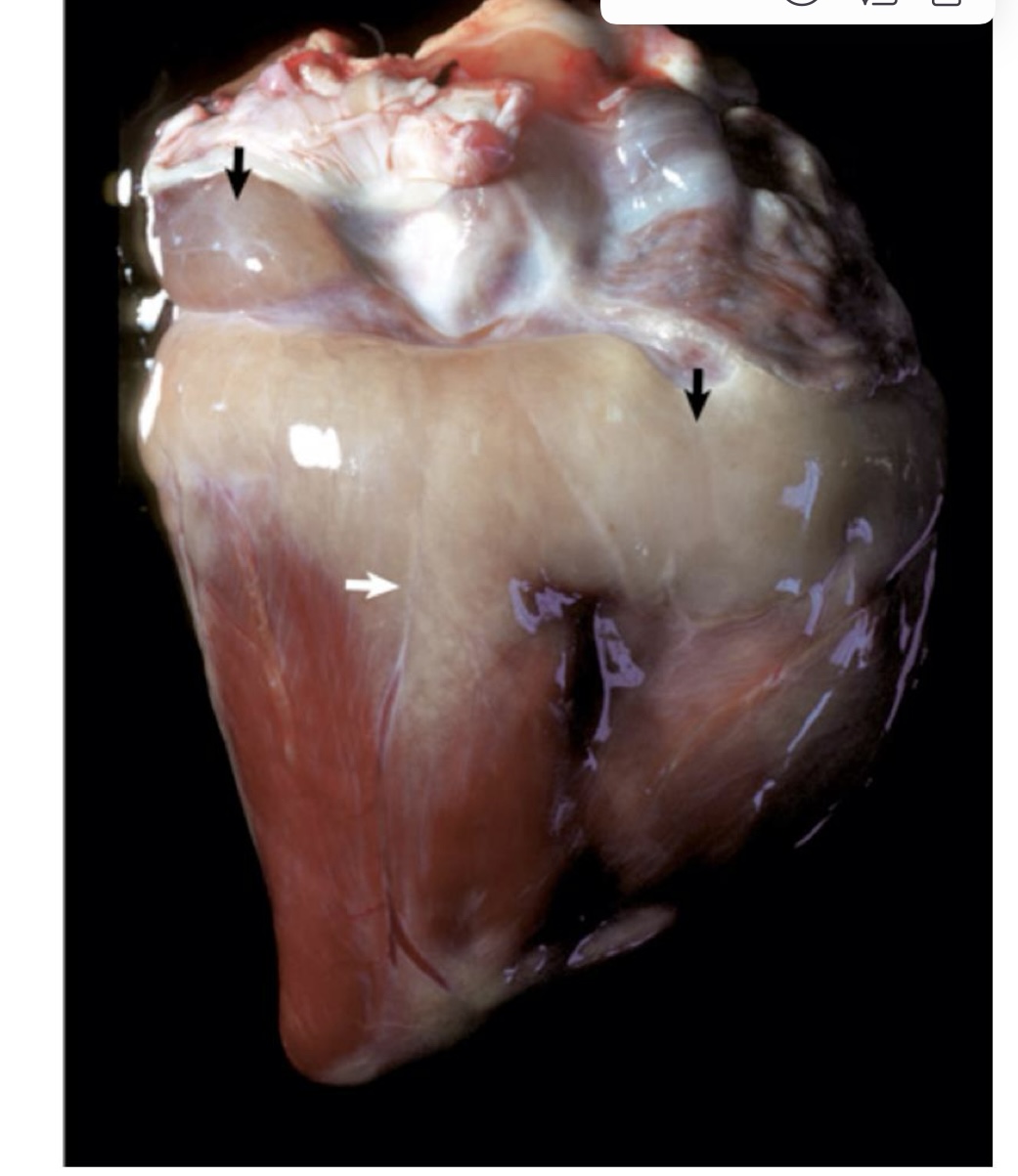 <p>what is this?</p>