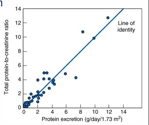 <p>-gold standard is 24 hours urine collection (cumbersome)</p><p>-a spot urine protein in isolation is meaningless</p><p>-normalizing it to spot urinary Cr is used clinically (assuming average muscle mass where daily Cr production ~1000 mg/day)</p>