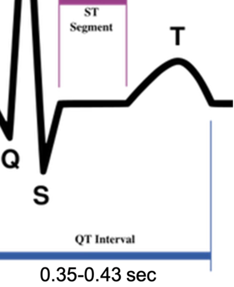 <p>the total duration of ventricular depolarization and repolarization</p>