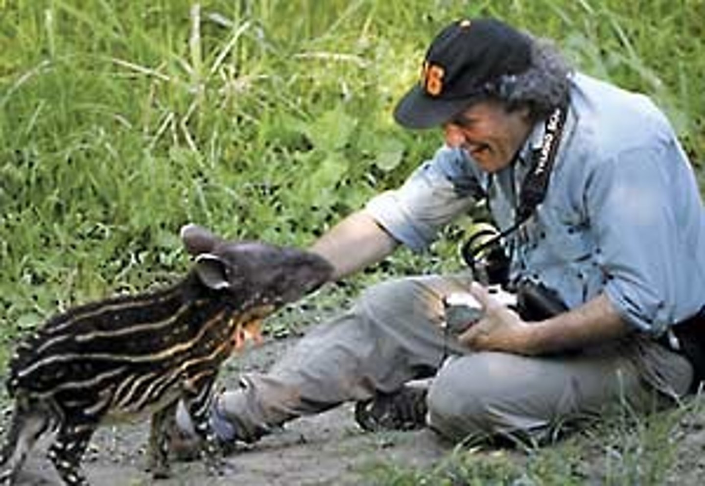 <p>Ecologist (male)</p>