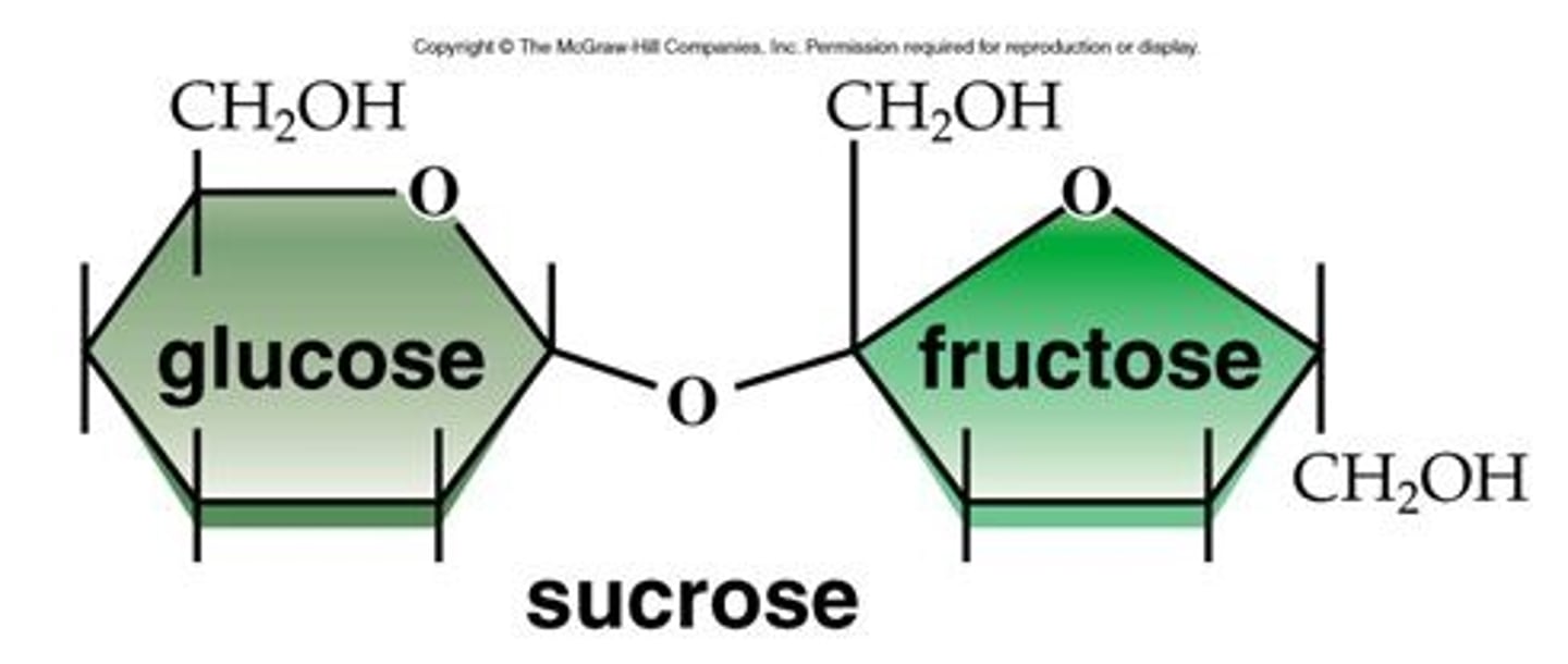 <p>glucose + fructose</p>